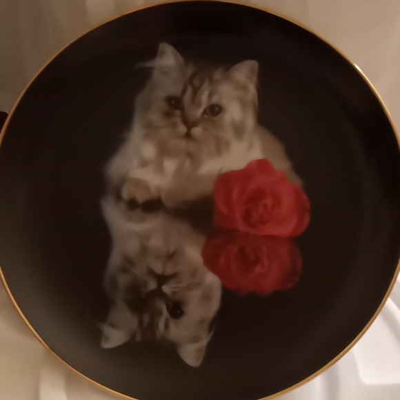 Danbury Mint Plate Collection "Coming Up Roses" 8Plates - Picture 5 of 16